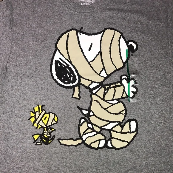 Peanuts Woman’s Relaxed Fit Gray Graphic Snoopy and Woodstock Tee | NWT! - Picture 2 of 5